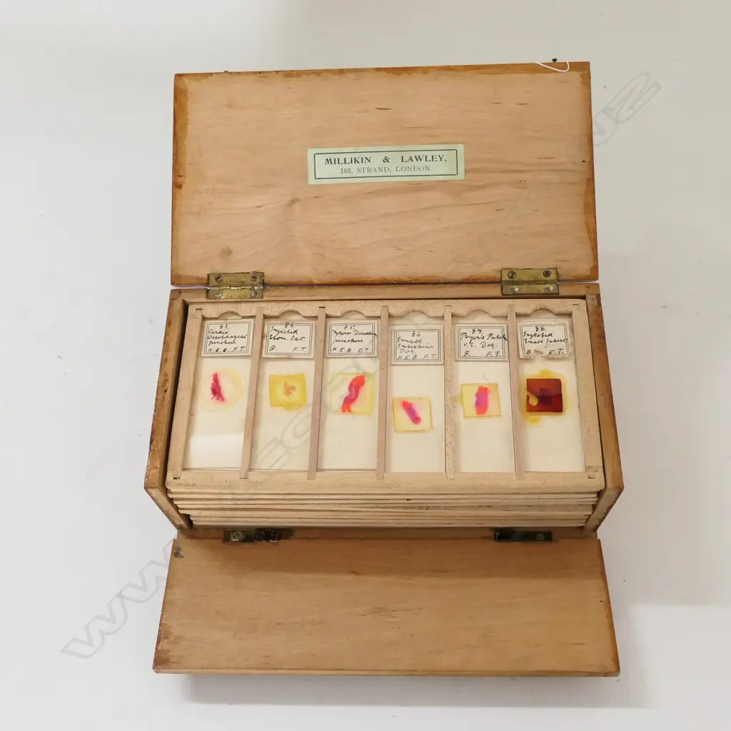 2 WOODEN BOXES OF MICROSCOPIC SLIDES, ONE LABELED 'MILLIKIN & LAWLEY 165 STRAND LONDON. Image 1++